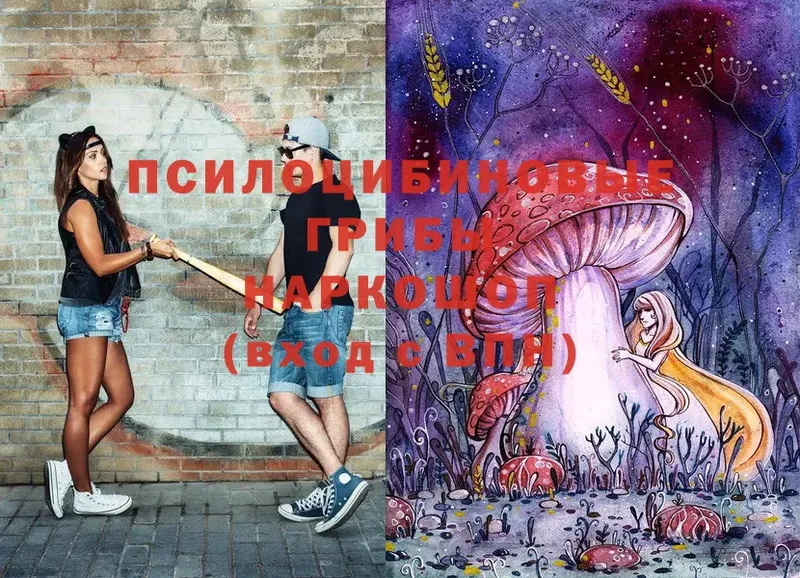 Псилоцибиновые грибы Cubensis  Абинск 